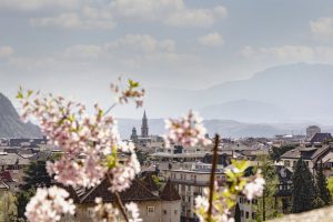 bolzano in fiore arte