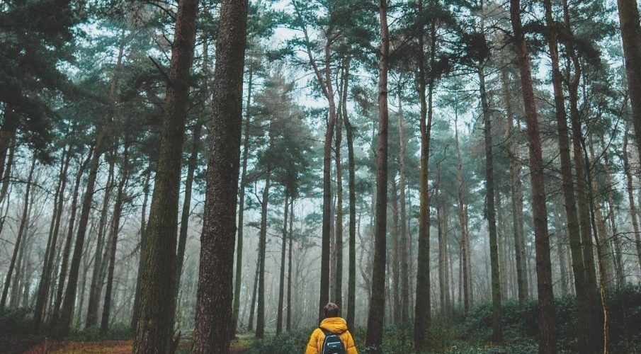 Viaggiatori solitari