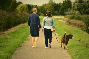 viaggiare con il cane