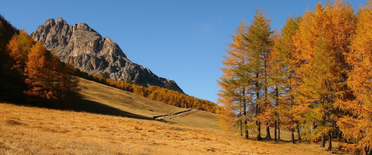 vacanza a Bormio