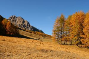 vacanza a Bormio