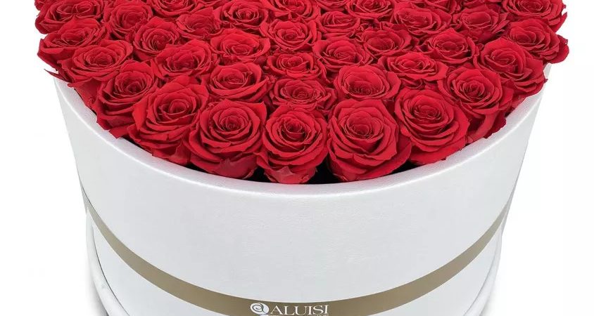 rose stabilizzate