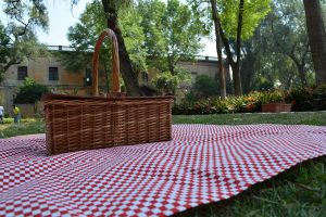 Pic nic perfetto