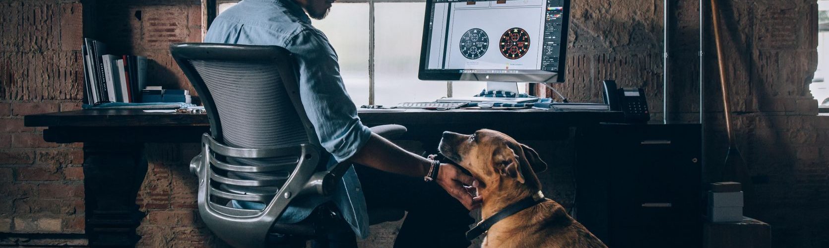 portare il cane al lavoro