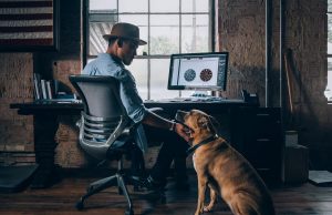 portare il cane al lavoro