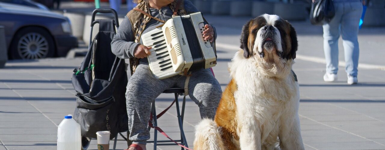 musica per cani