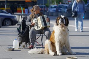 musica per cani