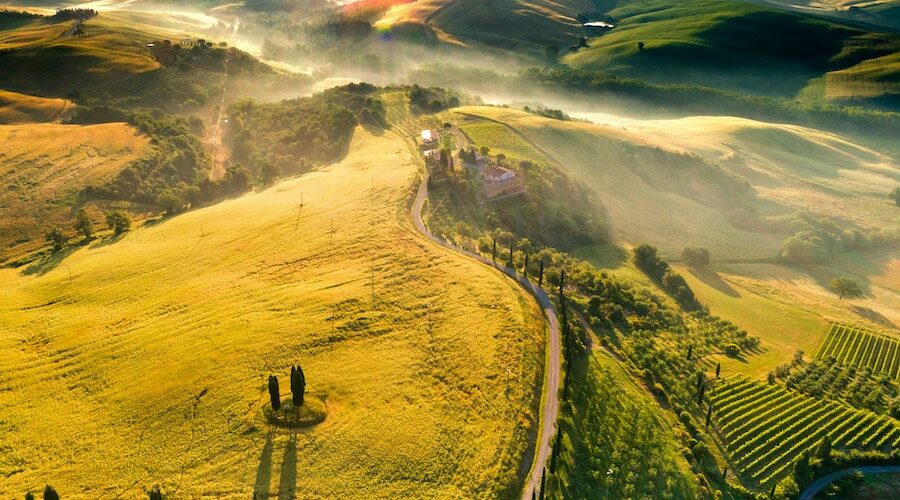 strade dell’olio